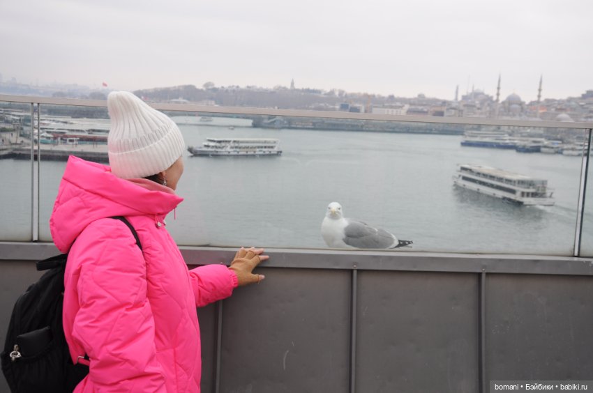 Увидеть Стамбул... и захотеть вернуться