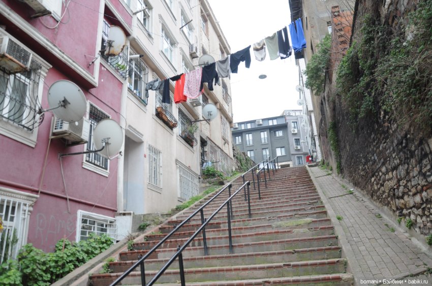 Цветные домики Балата — Куклы и тела Obitsu 11 (Ob11): гибриды