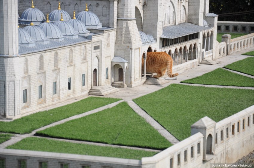 Миниатюрк — Куклы и тела Obitsu 11 (Ob11): гибриды