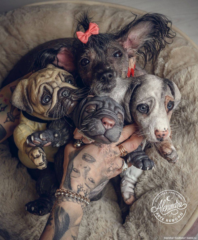 Сердце не видит отличий: трогательная история трех щенков-реборнов от Alexia Sanchez