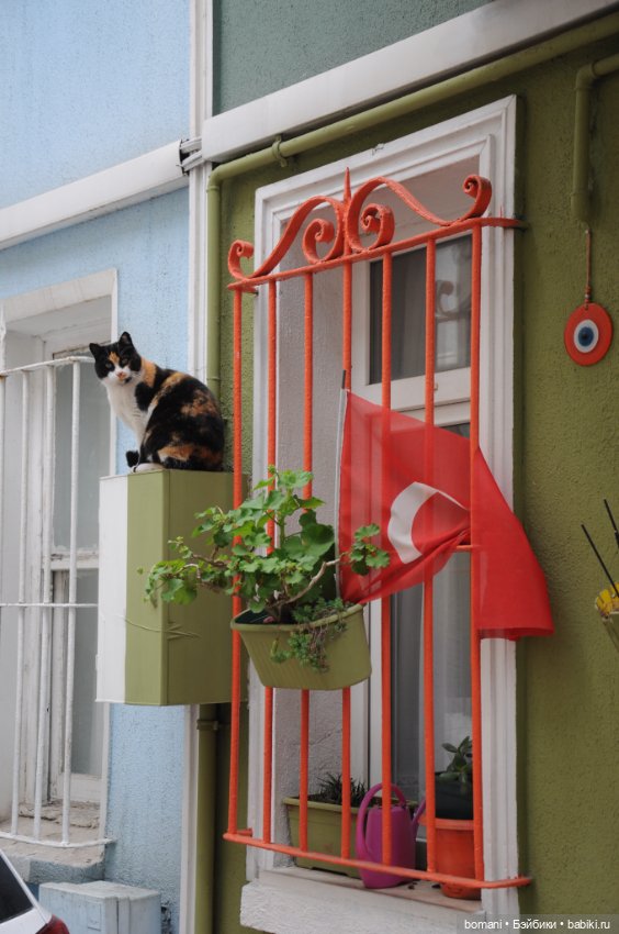 Цветные домики Балата — Куклы и тела Obitsu 11 (Ob11): гибриды