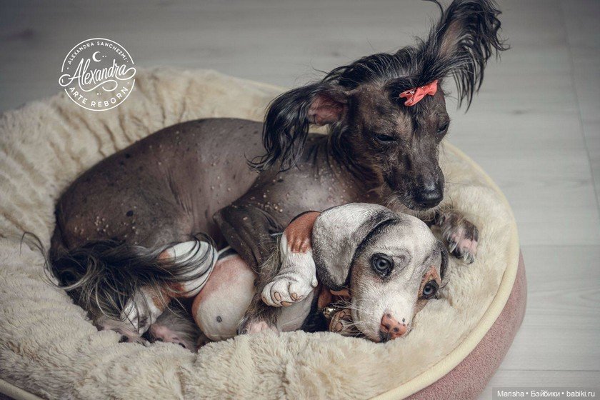 Сердце не видит отличий: трогательная история трех щенков-реборнов от Alexia Sanchez (фото 8)