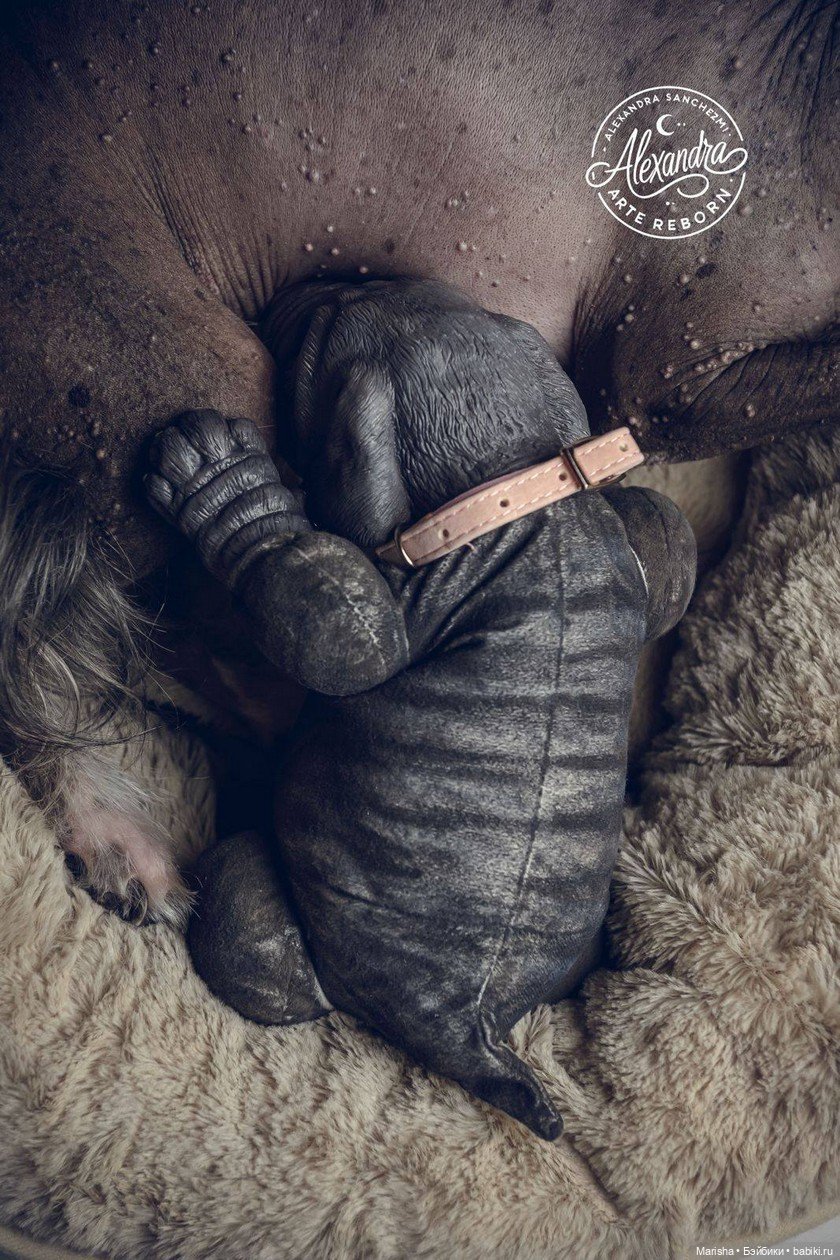 Сердце не видит отличий: трогательная история трех щенков-реборнов от Alexia Sanchez (фото 3)