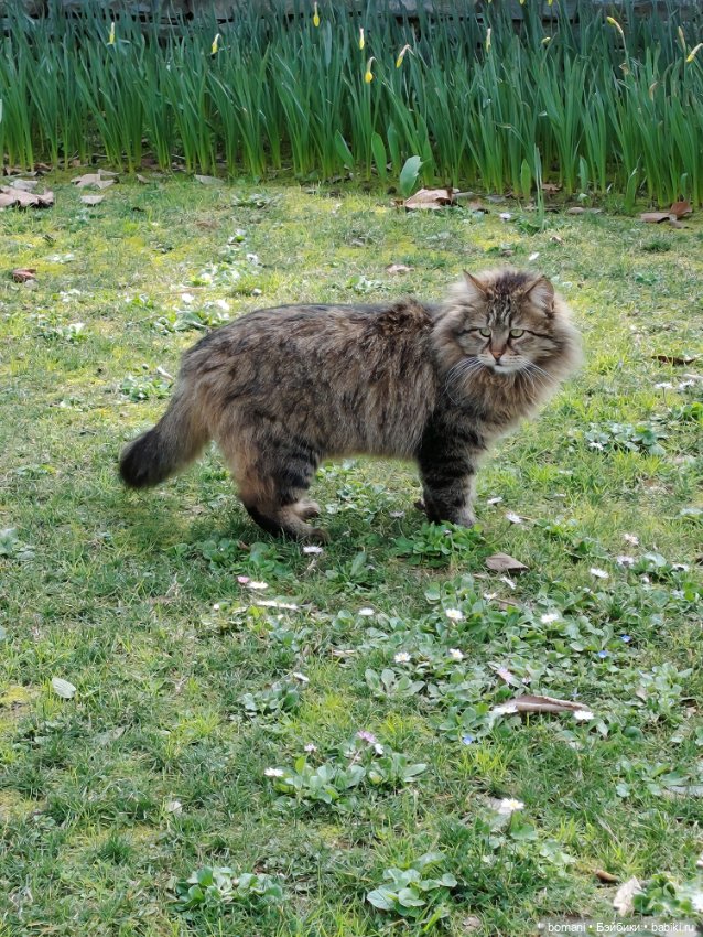 Увидеть Стамбул... и захотеть вернуться