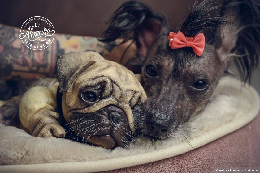 Сердце не видит отличий: трогательная история трех щенков-реборнов от Alexia Sanchez (фото 4)