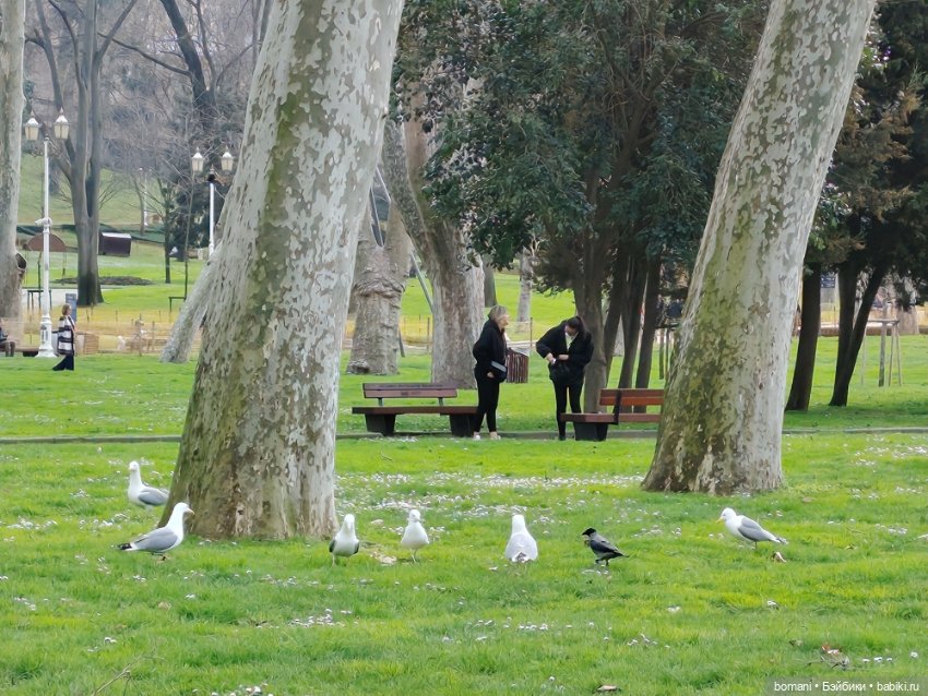 Увидеть Стамбул... и захотеть вернуться