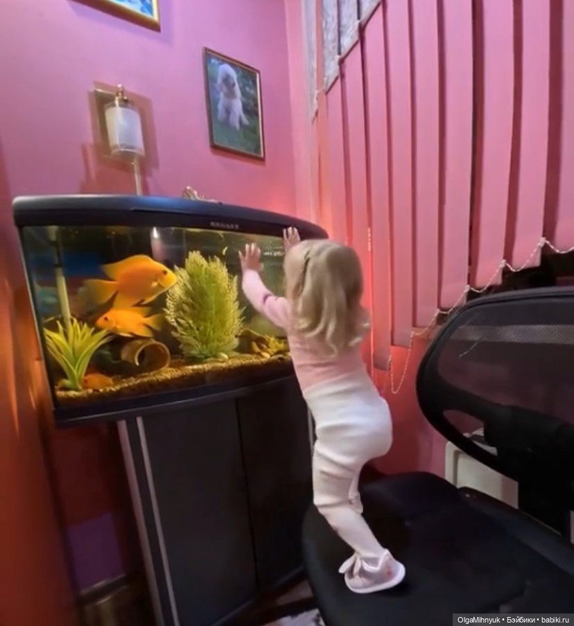 Маруся и её любимые домашние питомцы (фото 2)