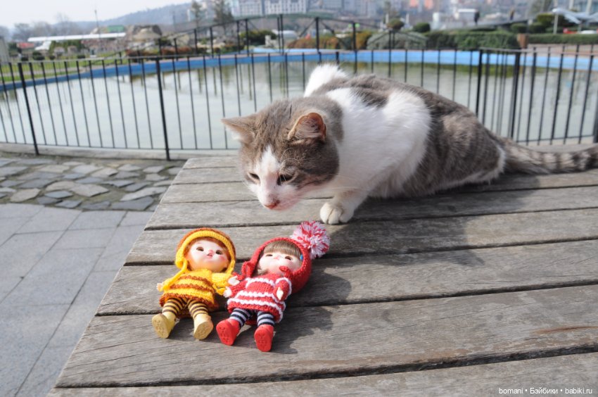 Миниатюрк — Куклы и тела Obitsu 11 (Ob11): гибриды