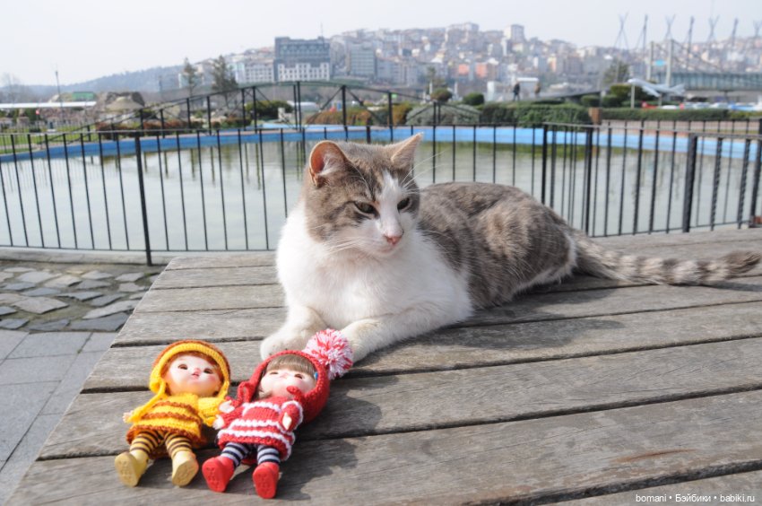 Миниатюрк — Куклы и тела Obitsu 11 (Ob11): гибриды