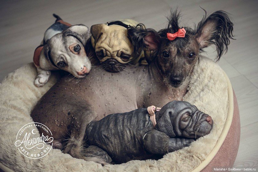 Сердце не видит отличий: трогательная история трех щенков-реборнов от Alexia Sanchez (фото 6)
