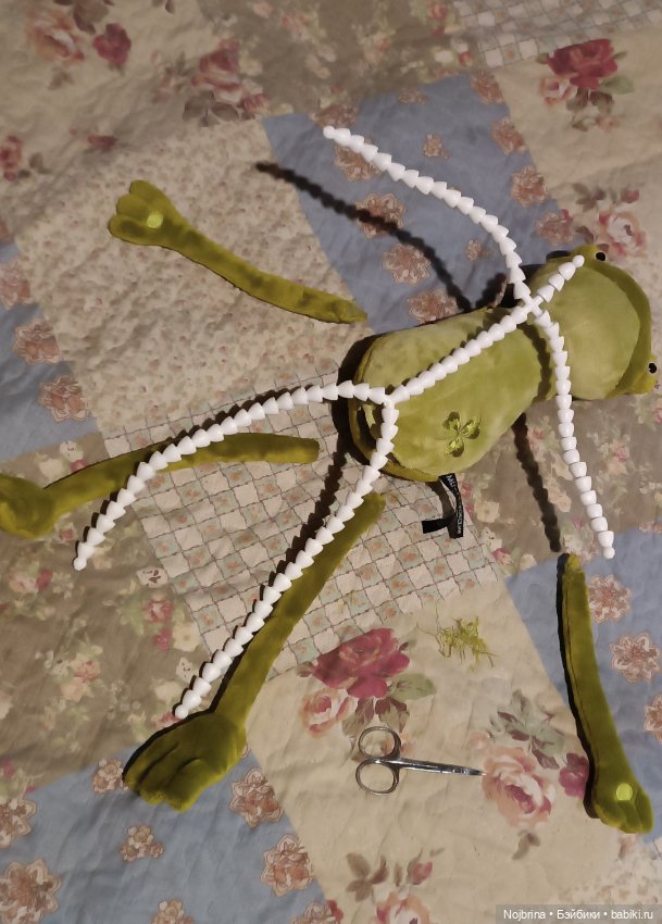 Скелет - поддержка и опора, Оливия Кваковски (фото 4)