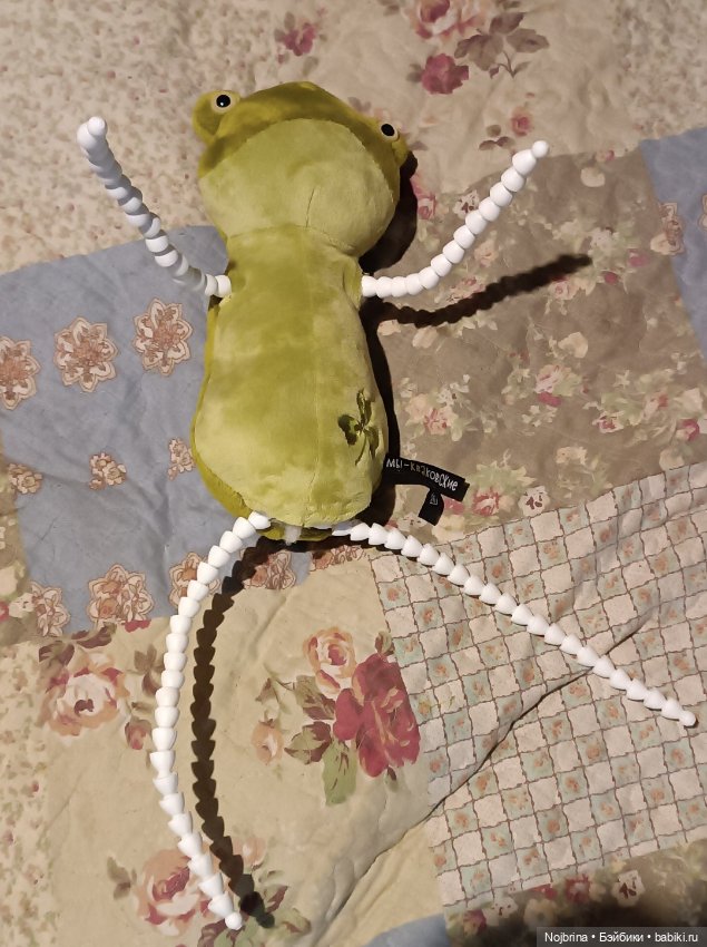 Скелет - поддержка и опора, Оливия Кваковски (фото 5)