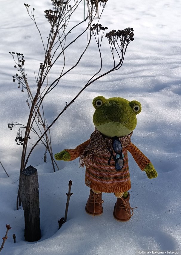 Скелет - поддержка и опора, Оливия Кваковски