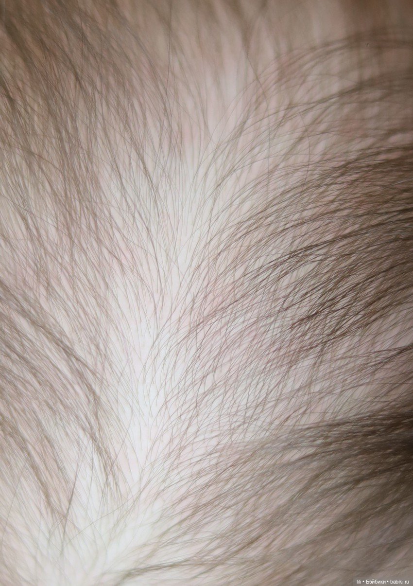 Нежная Полли: фотосессия новой малышки из молда Bonnie Sieben