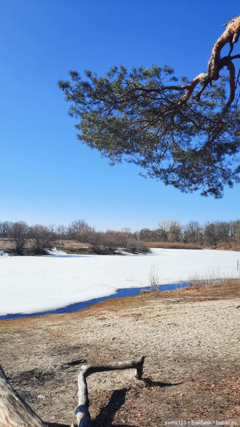 Прекрасный март 🥀🥀🥀 — Куклы Gotz (Готц): Ханна