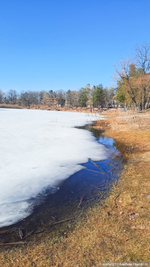 Прекрасный март 🥀🥀🥀 — Куклы Gotz (Готц): Ханна