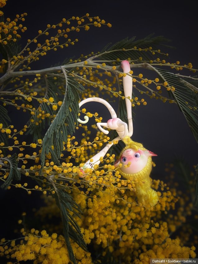 Мимозное — Куклы Dollzone (Доллзон): BJD (БЖД) (фото 5)