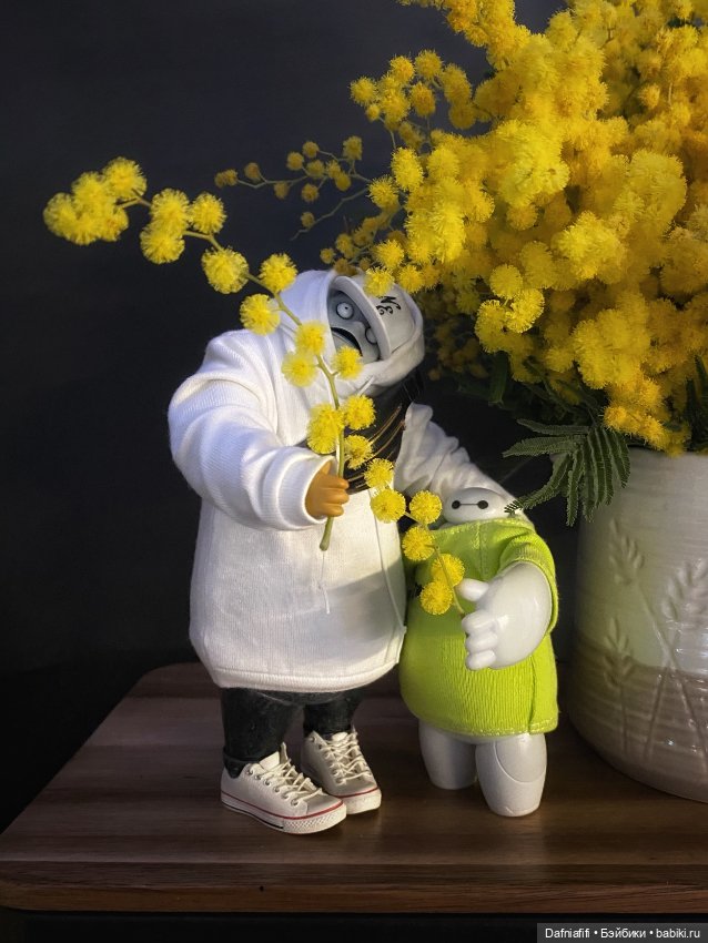 Мимозное — Куклы Dollzone (Доллзон): BJD (БЖД)