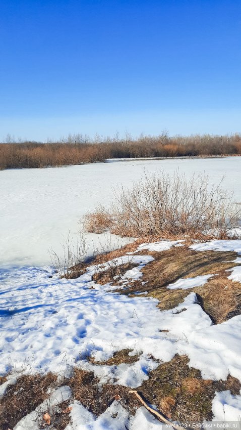 Прекрасный март 🥀🥀🥀 — Куклы Gotz (Готц): Ханна