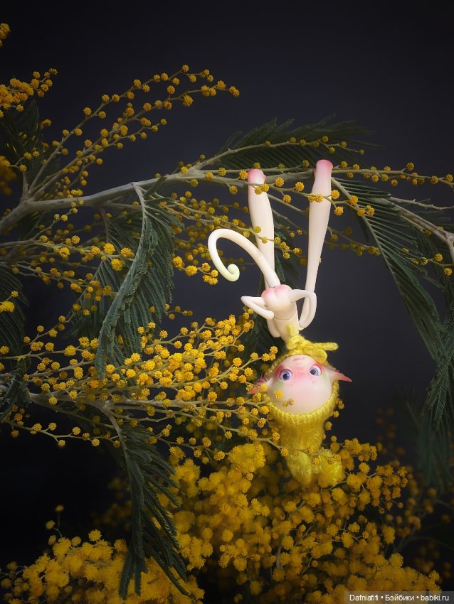 Мимозное — Куклы Dollzone (Доллзон): BJD (БЖД) (фото 3)