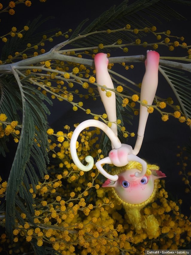Мимозное — Куклы Dollzone (Доллзон): BJD (БЖД) (фото 4)