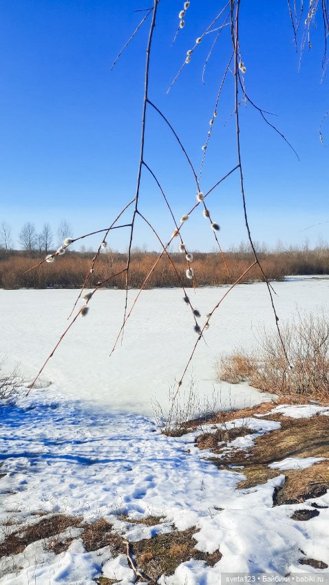 Прекрасный март 🥀🥀🥀 — Куклы Gotz (Готц): Ханна
