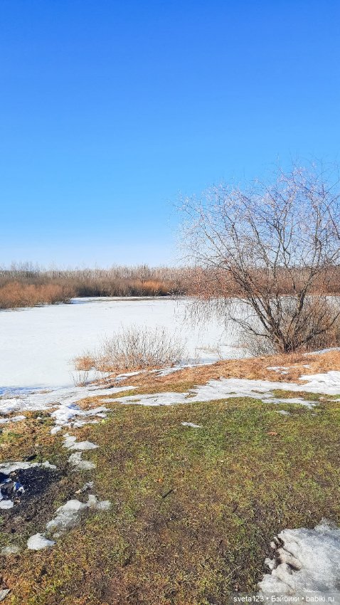 Прекрасный март 🥀🥀🥀 — Куклы Gotz (Готц): Ханна