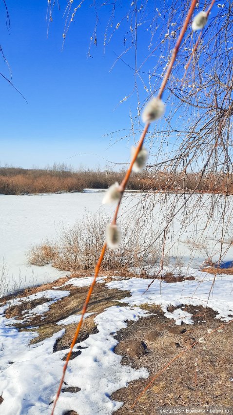 Прекрасный март 🥀🥀🥀 — Куклы Gotz (Готц): Ханна