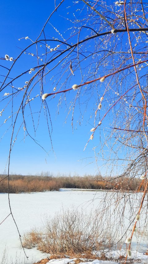 Прекрасный март 🥀🥀🥀 — Куклы Gotz (Готц): Ханна