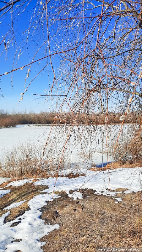 Прекрасный март 🥀🥀🥀 — Куклы Gotz (Готц): Ханна