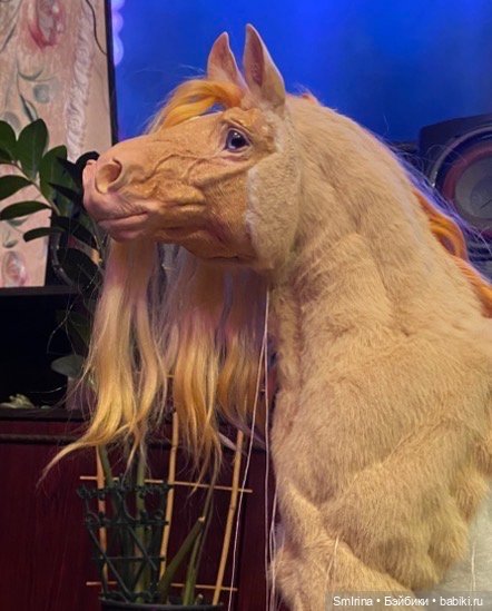 Я не потерялась, но застряла (фото 3)