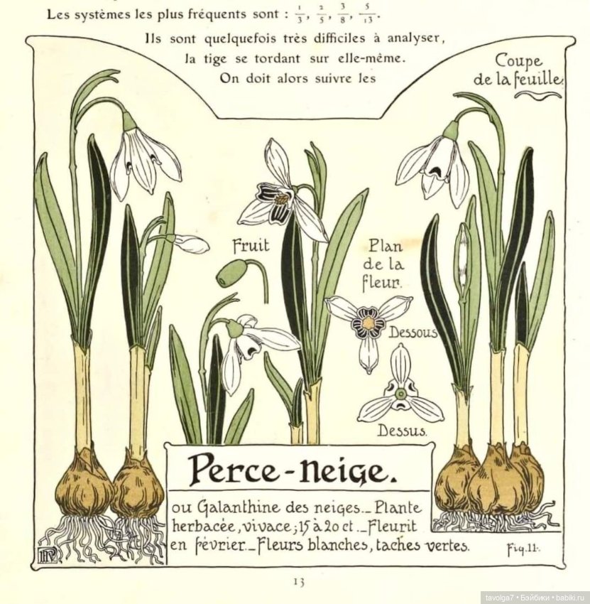 Подснежники - винтажное настроение (фото 10)