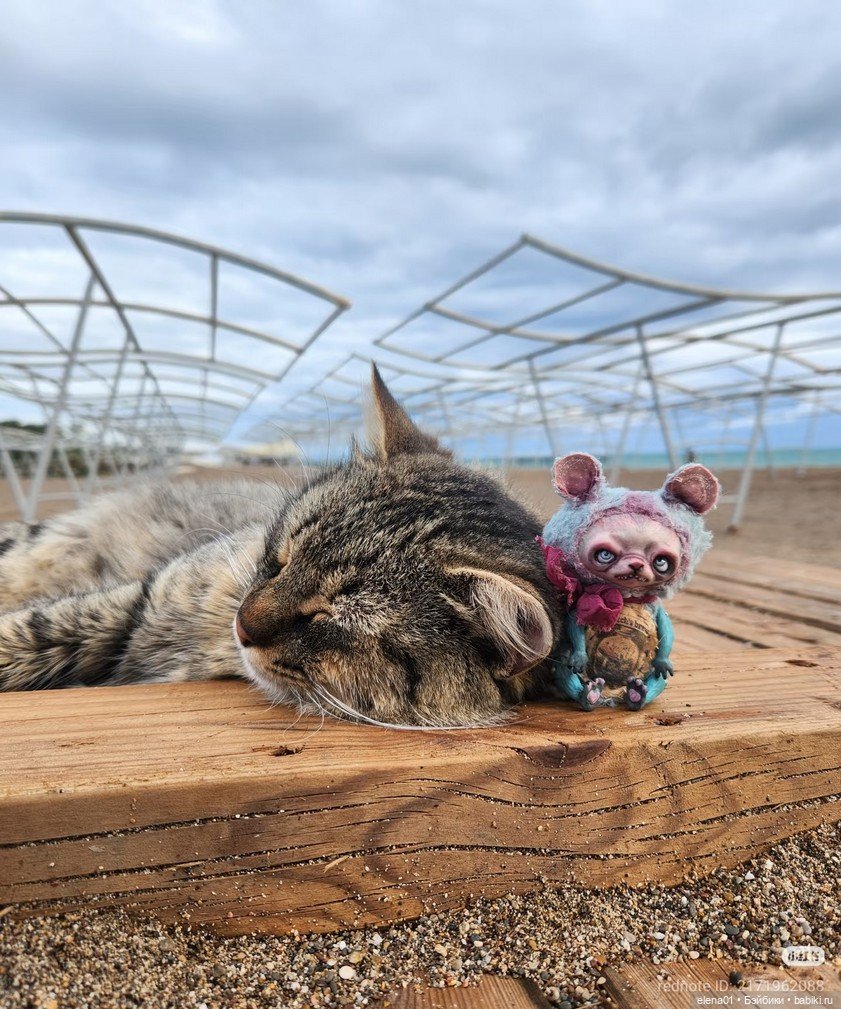 Живые эмоции в пластике: Неповторимые «Карденчики» Карины Буркацкой и Дениса Шматова