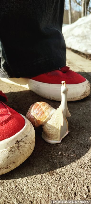 Весенние заботы обыкновенной улитки