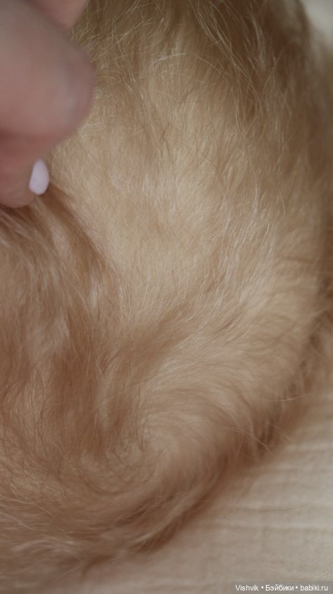 Булочка Джун...куколка реборн Виктории Вишни