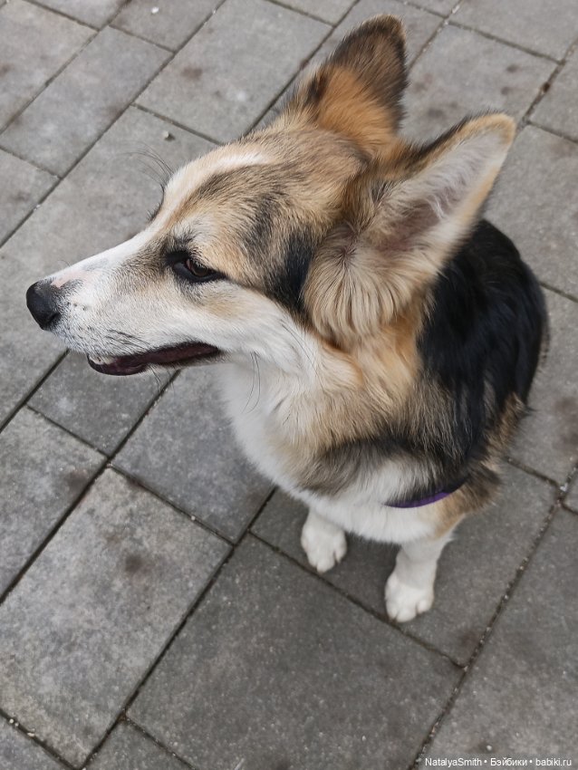 Such a perfect day — 3D (фото 10)