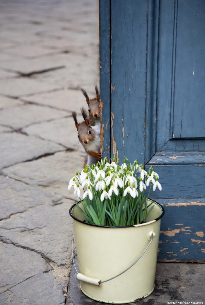 Подснежники - современные графика, линогравюры