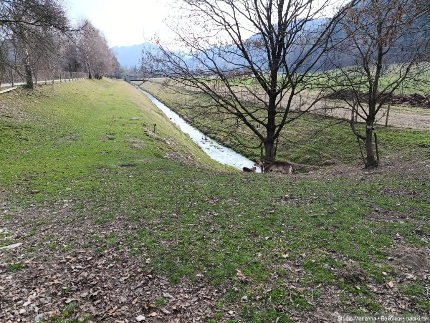 Sugar и Sky Ruby Red fashion friends на прогулке (фото 10)