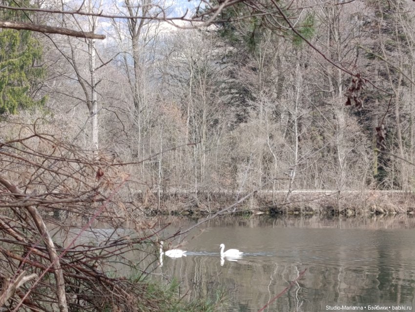 Sugar и Sky Ruby Red fashion friends на прогулке (фото 9)