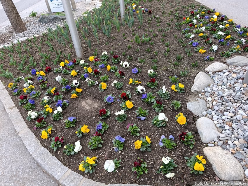 Sugar и Sky Ruby Red fashion friends на прогулке