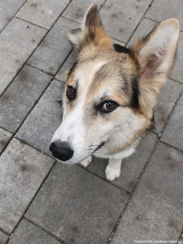 Such a perfect day — 3D (фото 9)