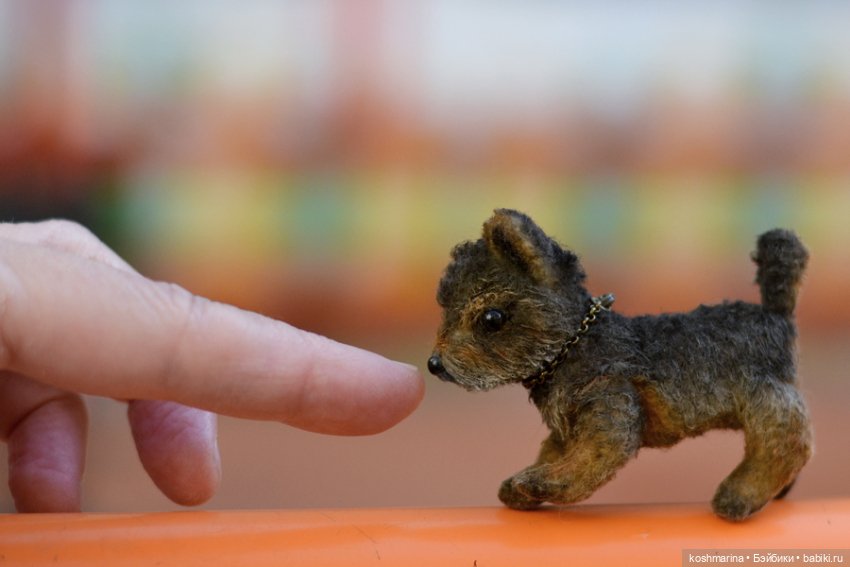 Йорк, характер нордический