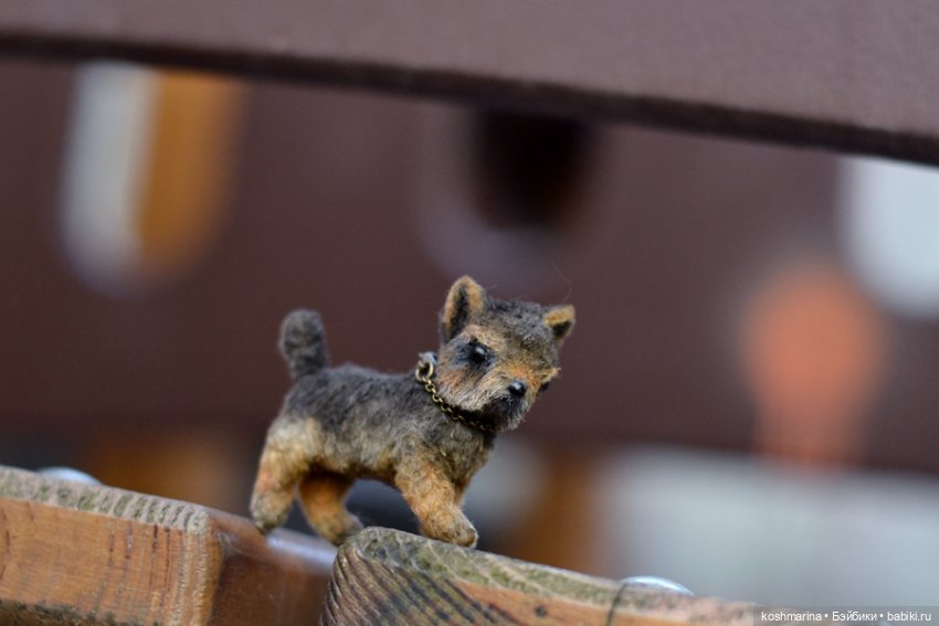 Йорк, характер нордический