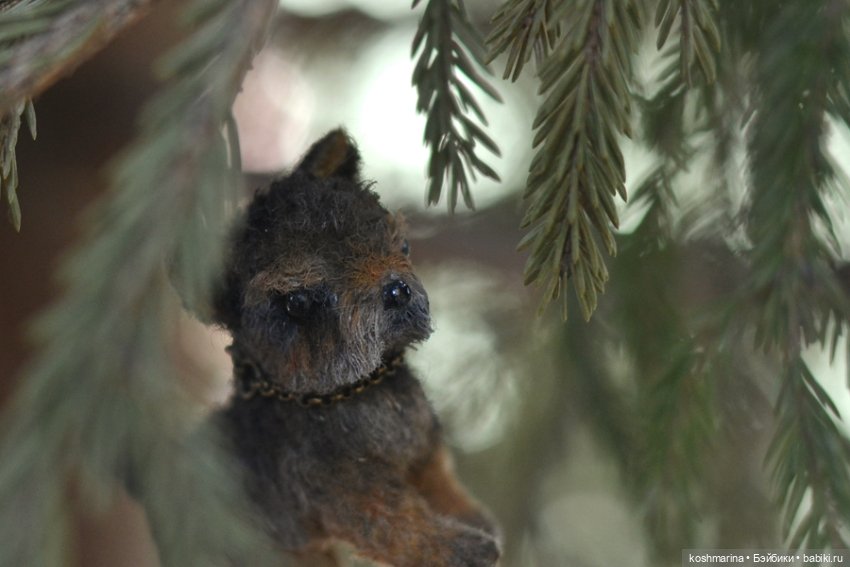 Йорк, характер нордический