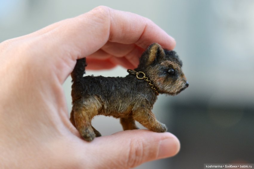 Йорк, характер нордический