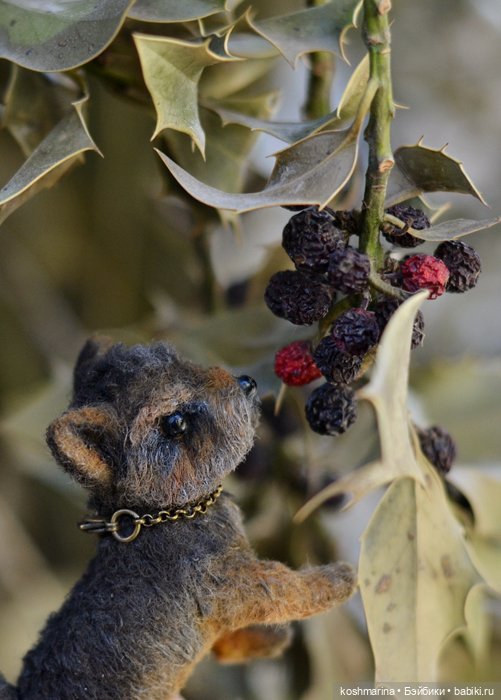 Йорк, характер нордический (фото 2)