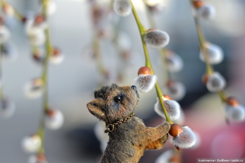 Йорк, характер нордический