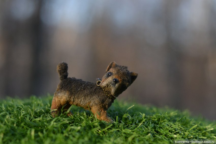 Йорк, характер нордический