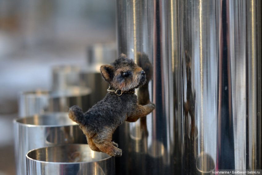 Йорк, характер нордический