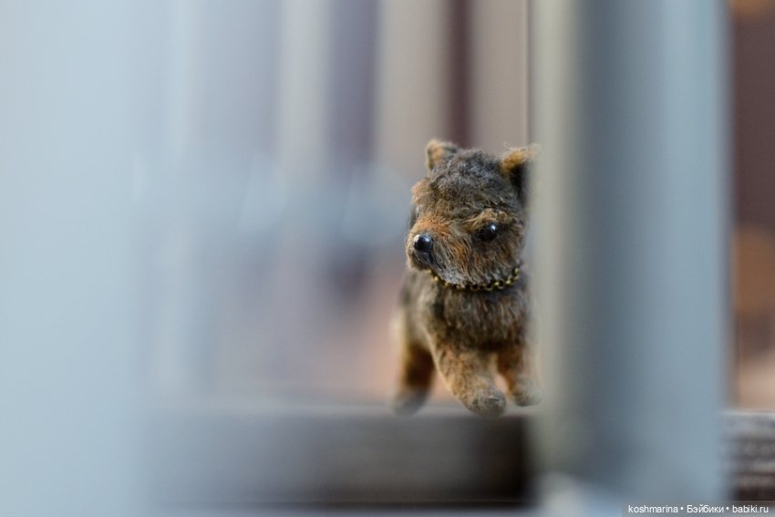Йорк, характер нордический